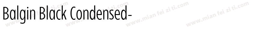 Balgin Black Condensed字体转换